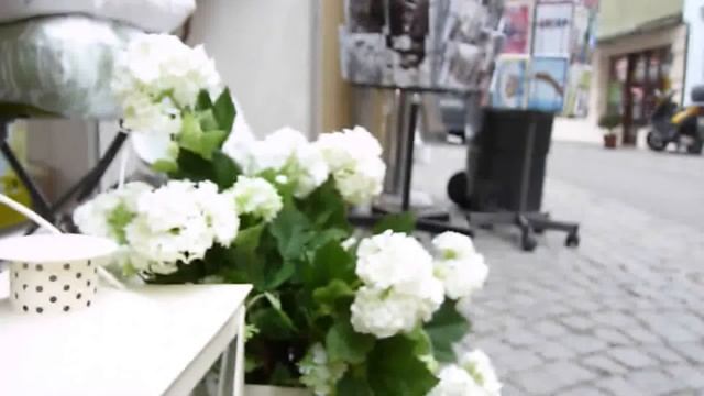 lumix fz38 test video_1080 HD_manual focus смотреть онлайн