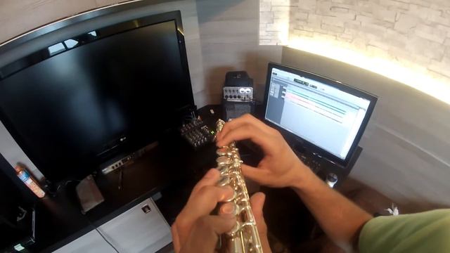Lucas Santos - "Final Feliz" | Flute cover | GoPro HERO 3 (BLACK) x 3 смотреть онлайн