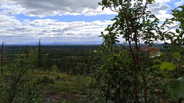 14 ИЮЛЯ ТАЛНАХ КРАСНЫЕ КАМНИ ВОДОПАДЫ КРАСНЫЕ КАМНИ И ЗАЯЧЬЯ ГУБА смотреть онлайн
