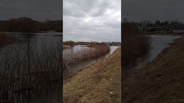 Жить у реки! смотреть онлайн