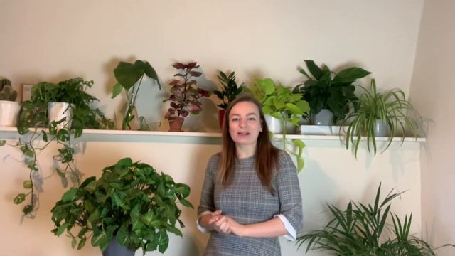 SYNGONIUM Stekken En Verzorgen | Zorgen Voor Kamerplanten смотреть онлайн