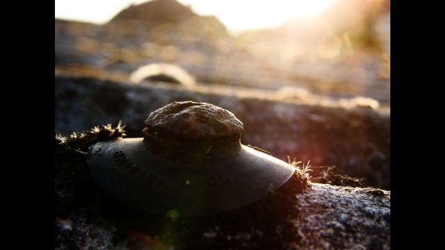 Fuji Finepix S8000fd