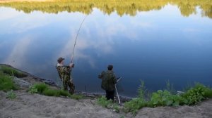 Трофейная рыбалка на Ахтубе. Личные рекорды по белому амуру и сазану побиты! Ловля сазана на Ахтубе