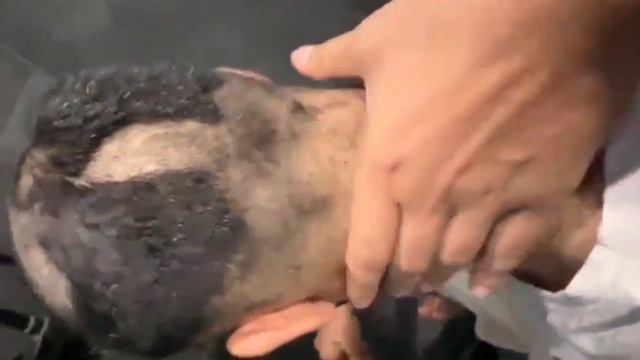 РЕНАТ БРЕЕТСЯ НАЛЫСО #steel #ravshan #renatko #staya #Нарeзки Steel