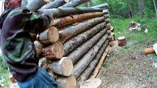 строительство избы и немного рыбалки часть 2.mp4 смотреть онлайн