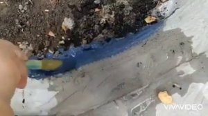 Как окрасить бордюр цементом с цветным пигментом