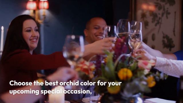 GREEN ORCHID смотреть онлайн