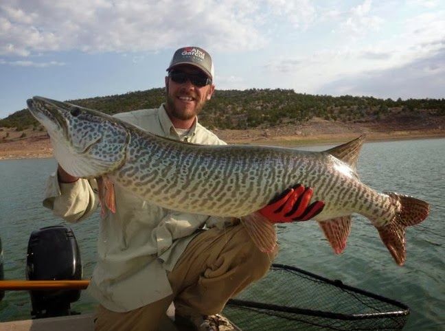 319.Трофеи 101.mp4 смотреть онлайн