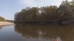 Обзор Biluta Cat от RiverFord полевые испытания часть 2