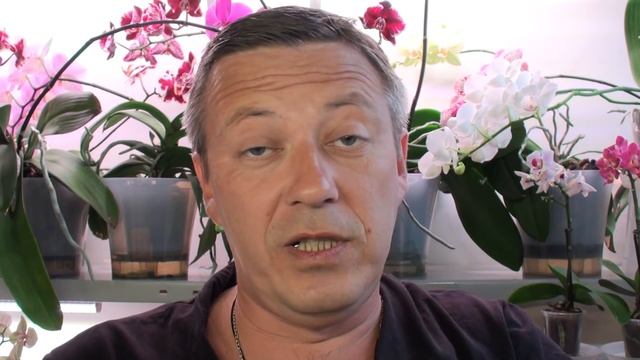 КАК ОСТАВИТЬ ОРХИДЕИ от 3 до 8 недель без присмотра и уехать в ОТПУСК? смотреть онлайн