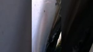 Как снять/установить бачок и насос омывателя стёкол Toyota Corolla.