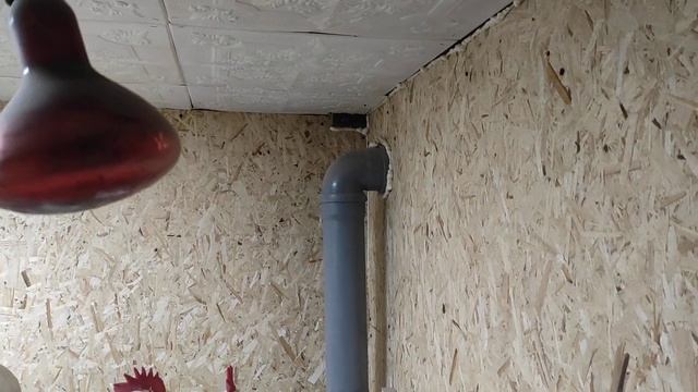 Теплый курятник 3×3 смотреть онлайн