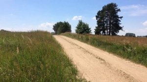 Honda Transalp 600V Dirt