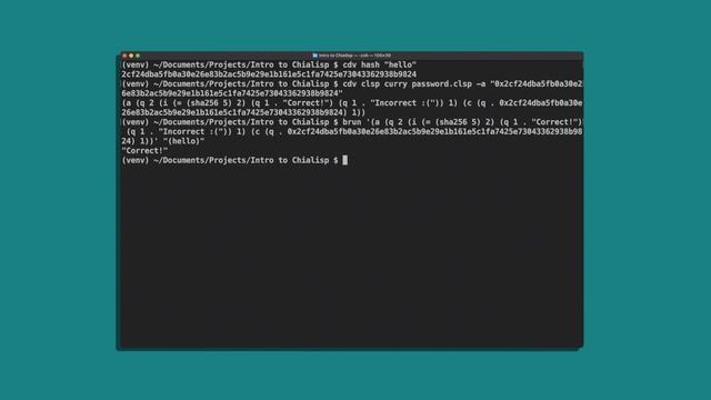 Smart Coin First Steps in Chialisp | Chia Blockchain смотреть онлайн