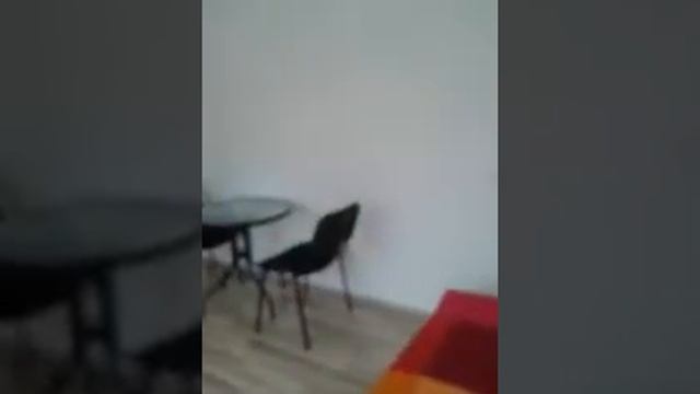 СПб, студия Хошимина 16 смотреть онлайн