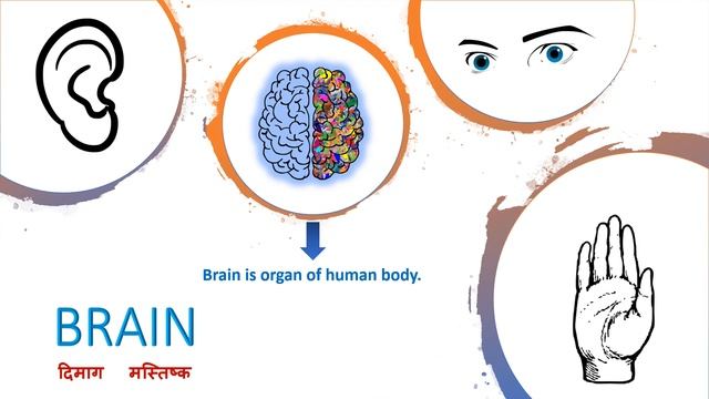What is the difference between the brain and mind ( Mind Vs Brain) -simple explanation. смотреть онлайн