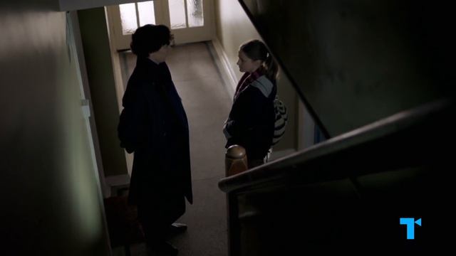 Sherlock: The Loner Genius Myth смотреть онлайн