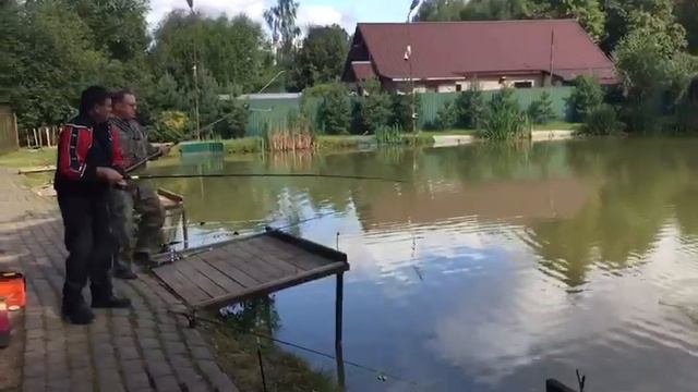 Ловля карпа в РК Фишка Липки. смотреть онлайн