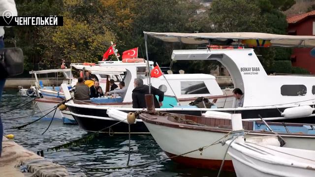 Секс революция, многоженство и матриархат. смотреть онлайн