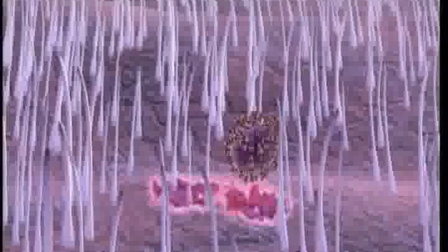 Грипп. Стоит ли делать прививку? смотреть онлайн