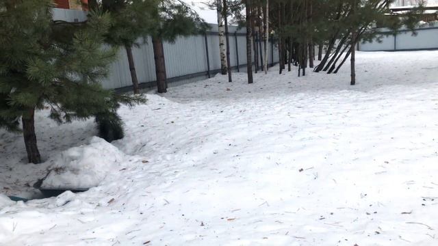Рецепт приготовления ягодного манника. Дела по хозяйству. Жизнь за городом. смотреть онлайн