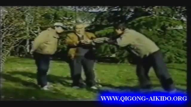 Ван Фу Бао Цигун Київ - Wan Fu Bao Qigong Kyiv (Part 3) WWW.QIGONG-AIKIDO.ORG смотреть онлайн