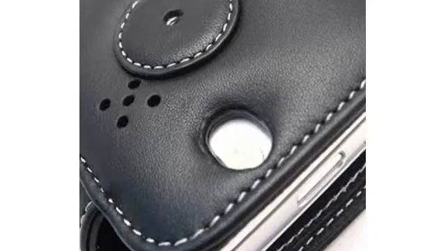 CarryMobile Leather Case for Mio Digiwalker H610 - Book Type смотреть онлайн