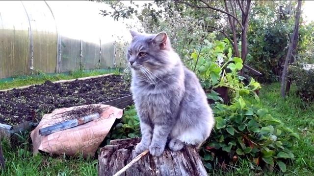 Спикер Тюря