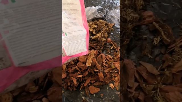 Сравнение грунта для орхидей Geolia и БиоМастер. смотреть онлайн