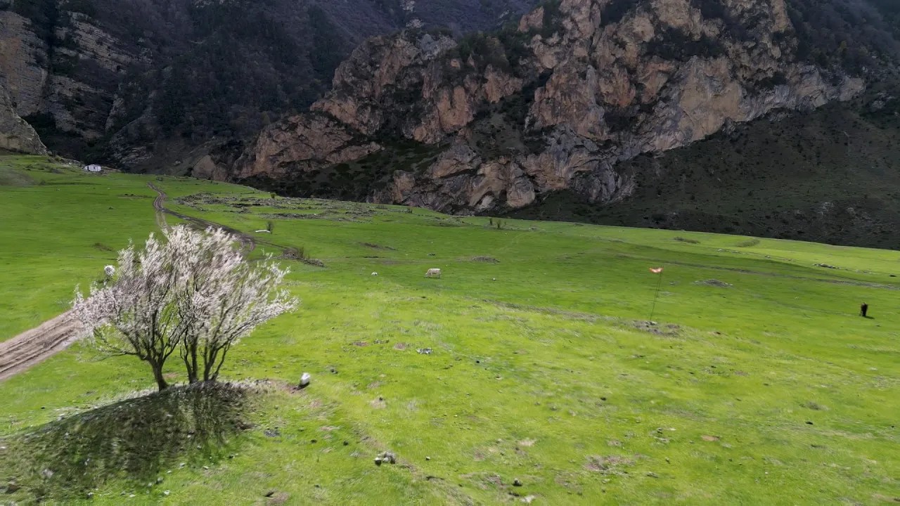 Чегем 03.05.2023