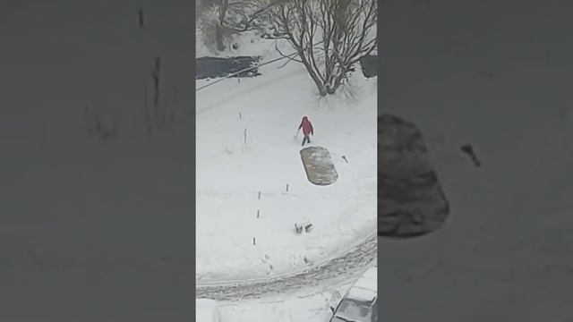 Махмуд выбивает ковёр ???? смотреть онлайн