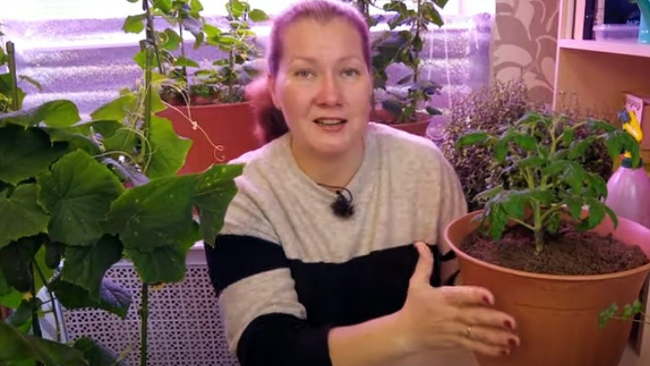 Садовый Мир