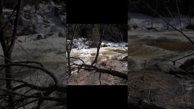 Весна идёт в Горный Алтай смотреть онлайн