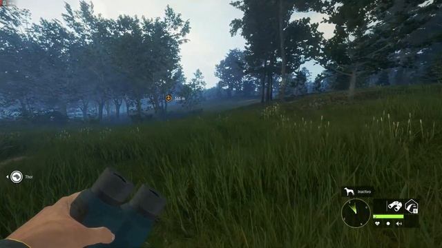 GAMO MAGNIFICO DEL SORTEO AVISTADO...1718 KILLS-7 DIAMANTES...!!! #TheHunterCallOfTheWild смотреть онлайн