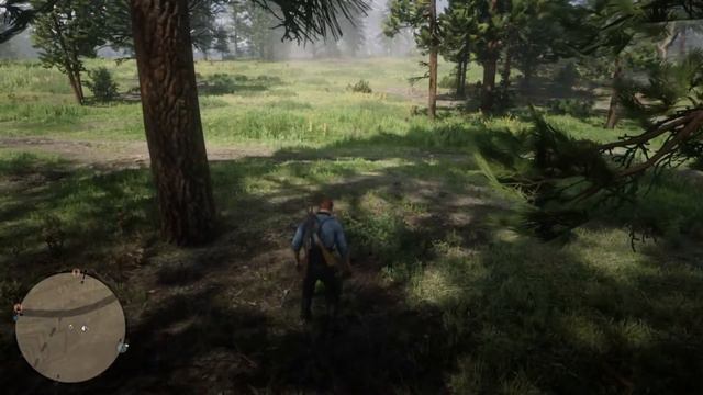 American Ginseng - Daily Challenges - Red Dead Online смотреть онлайн