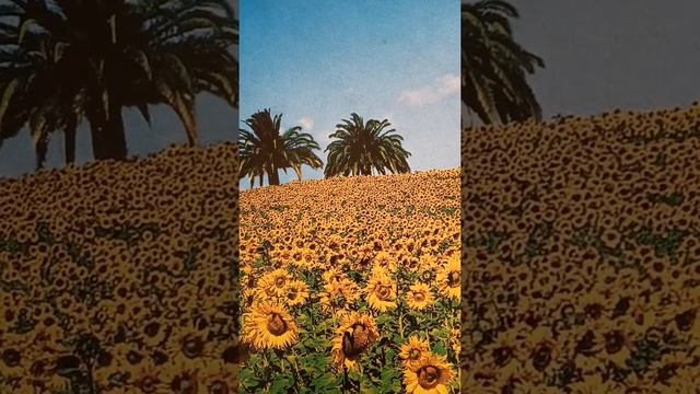 Говорящая рыба . Сказка . Перевод с армянского языка смотреть онлайн