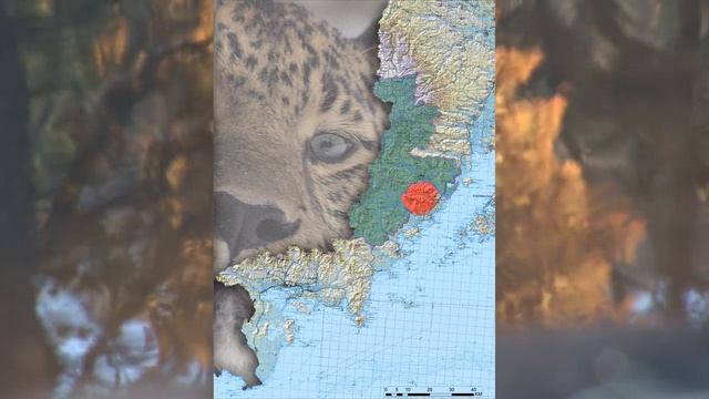 Национальный парк "Земля леопарда" смотреть онлайн