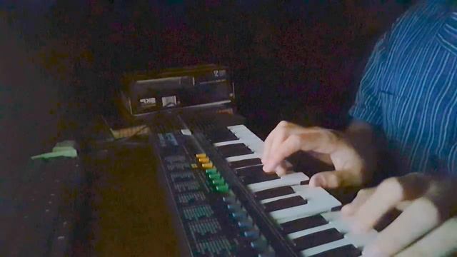 Casio SA-20 Complete Tone Bank Review / Test смотреть онлайн