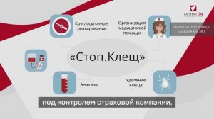 Защита от укуса клеща в КАПИТАЛ LIFE