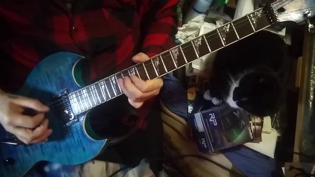 just playing around with the neck through body Ibanez made into a ZV style. with a real FLOYD ROSE. смотреть онлайн
