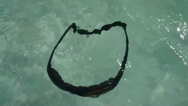 Рыболовные очки EGOFISH - тест на плавучестьРыболовные очки EGOFISH - тест на плавучесть смотреть онлайн