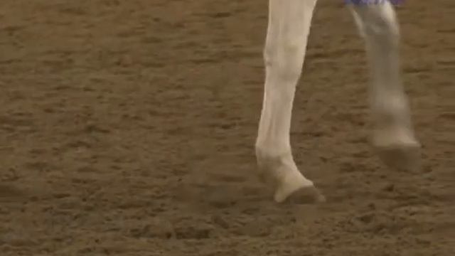 В Крымской конно-спортивной школе прошло открытие крытого манежа. смотреть онлайн
