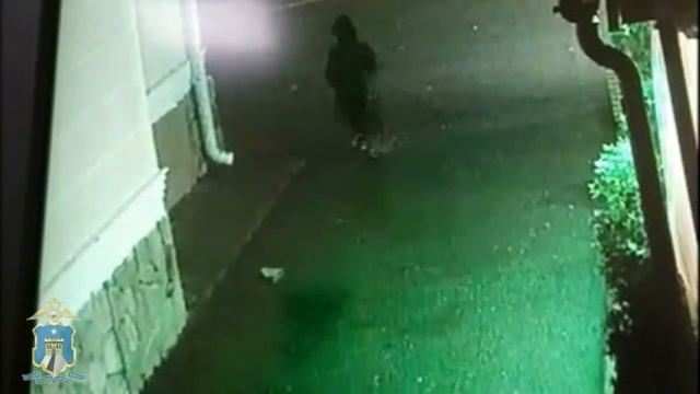 В Ессентуках украли 4 шубы из магазина смотреть онлайн