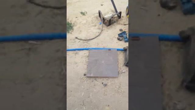 Как яйца ухейилюй меняют цвет # Зелёные яйца меняют цвет ! смотреть онлайн