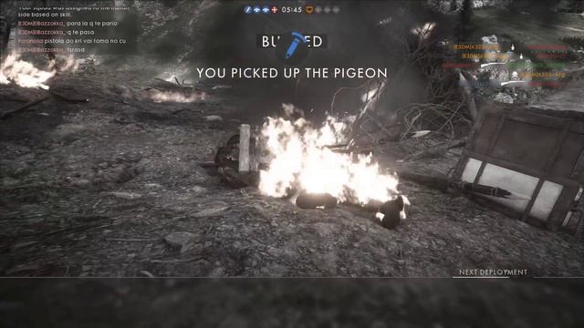 War pigeon bug смотреть онлайн