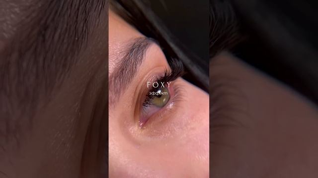 Лисий эффект в 3Д изгиб Д #наращиваниересниц #ресницы #lashes #ресницы2д #брови #ресницы3д #brows