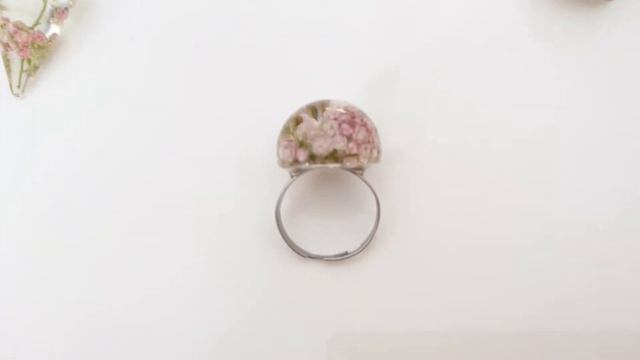 Ozothamnus à feuilles de thym смотреть онлайн