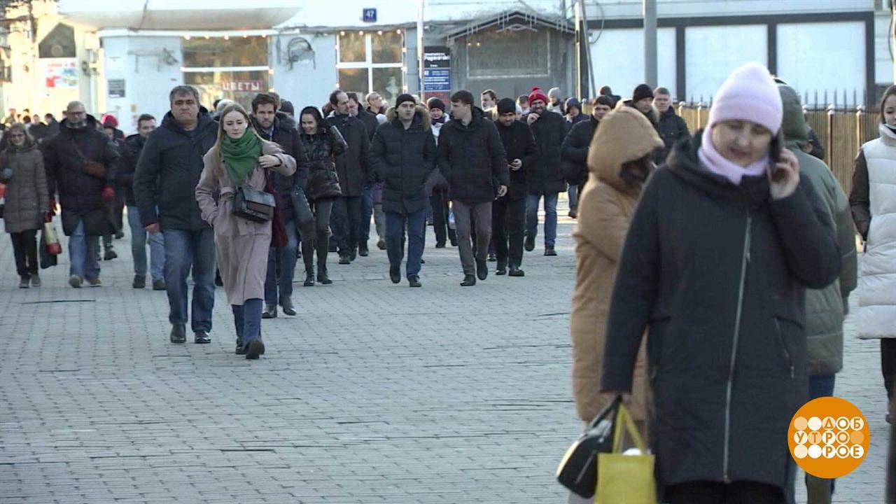 Что делать, если потерял работу. Добро утро. Фрагмент выпуска от 23.03.2022