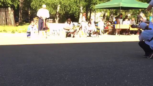 Запись трансляции с бестов выставки в Костроме 16 июня 2019 г. смотреть онлайн