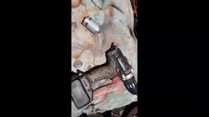 Мотор  RS550 для шуруповерта PIT 24 в. RS550 24 в из aliexpress